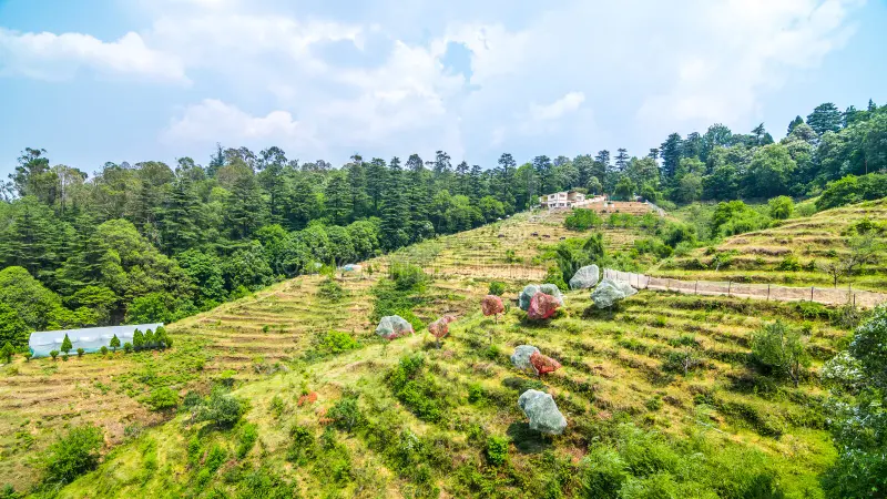 chaubatia garden ranikhet uttarakhand india chaubatia garden ranikhet famous fruit orchard known fine quality 340991612